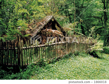 Tewai Loma埋葬了村莊 1866018