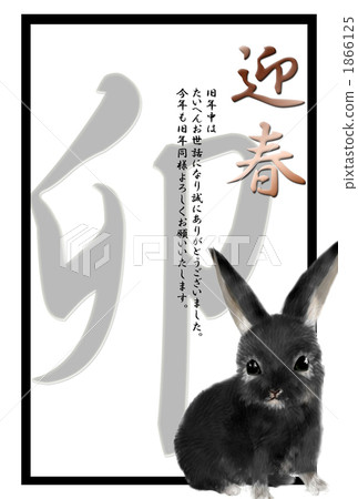 New year's cards 2011 rabbit New year's cards 2011 rabbit 1866125