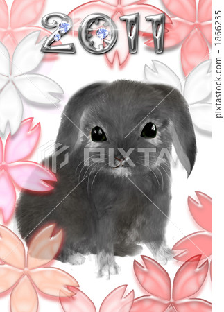 New year's cards 2011 rabbit 1866235