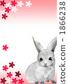 New year's cards 2011 rabbit 1866238