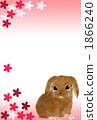 New year's cards 2011 rabbit 1866240