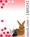 New year's cards 2011 rabbit 1866242