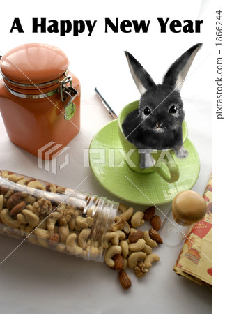 New year's cards 2011 rabbit 1866244