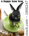 New year's cards 2011 rabbit 1866247