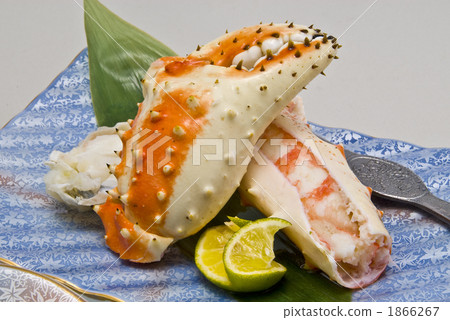 對傻瓜的菜 對傻瓜的菜 1866267