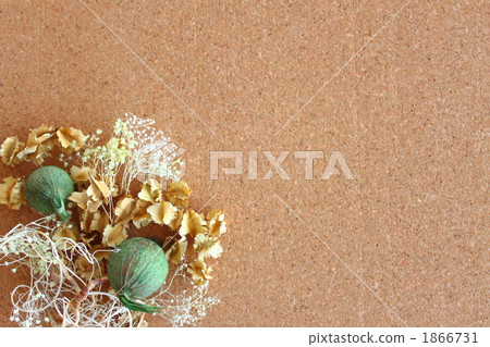 Dry Flower Cork Board Copy Space 1866731