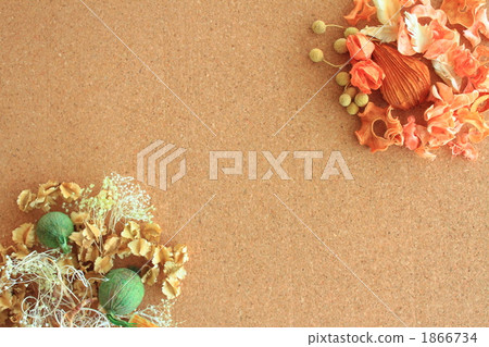 乾燥花黃柏板拷貝空間 乾燥花黃柏板拷貝空間 1866734