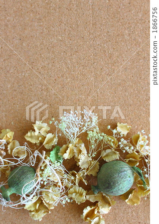 Dry Flower Cork Board Copy Space 1866756