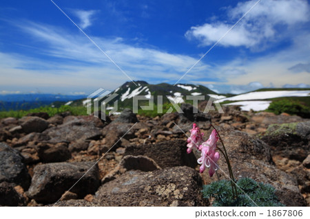 Cumkusa和Mount Tomlausi 1867806