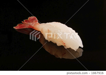 Sushi Sweet Shrimp 1867916