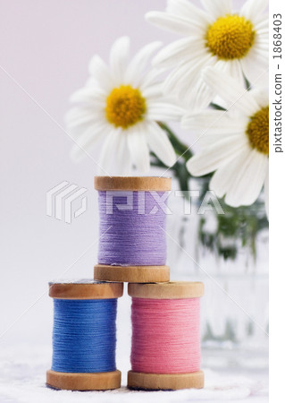 線軸 線絲 繩子 1868403