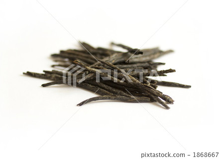 苦茶葉茶 苦茶葉茶 1868667