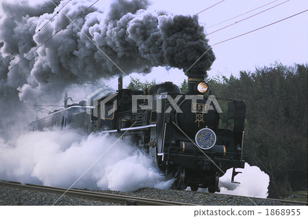 SL North Biwako Winter C 571 Hubei river hair 1868955