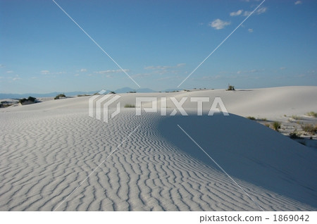 White dunes of White Sands 1869042