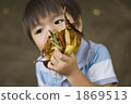拾起公園的下落的葉子的男孩 1869513