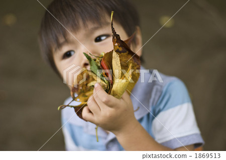 拾起公園的下落的葉子的男孩 1869513