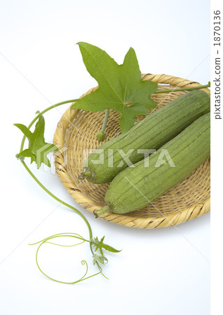 Loofah brought to monkey 1870136