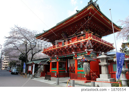 神田肌球蛋白 1870554