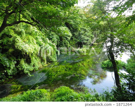 Kakita河水上公園 1871264
