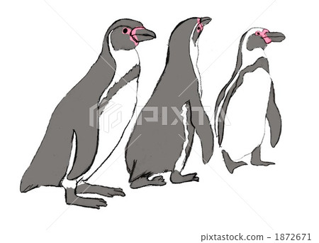 Three penguins Three penguins 1872671