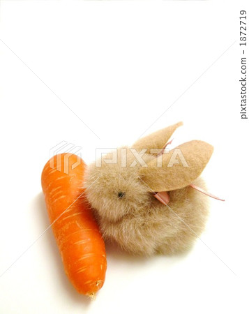兔子毛絨動物和胡蘿蔔 兔子毛絨動物和胡蘿蔔 1872719