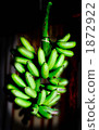 Hanging Island Banana 1872922