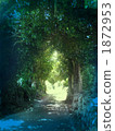 A path through sunlight through the trees 1872953