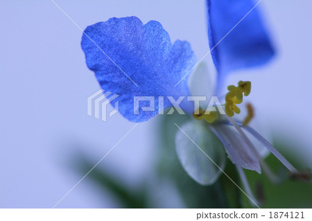 最多twinksa。 1874121