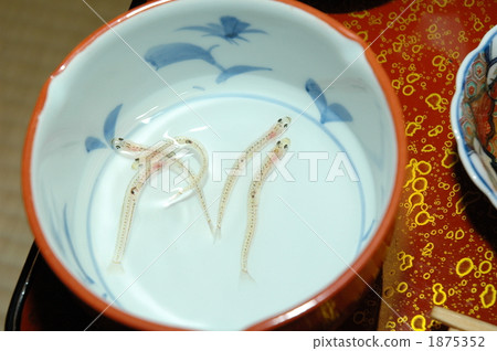 鯡魚的幼魚 小魚 榻榻米地板 1875352