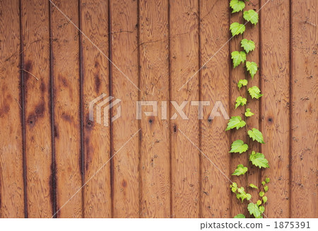 The grass clippling the fence 1875391