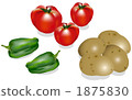 Vegetables (tomatoes, green peppers, potatoes) 1875830