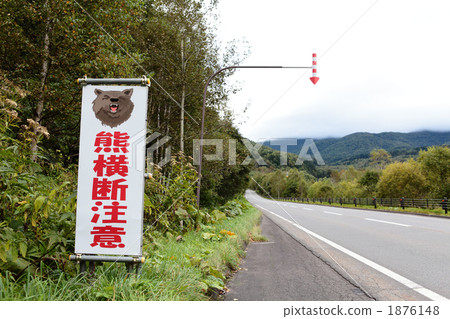 Signs of attention 1876148