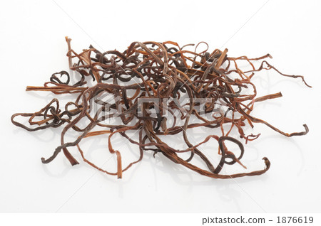 Dried spring 1876619