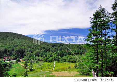 Musashino Orikaso Mire Musashino Orikaso Mire 1876719