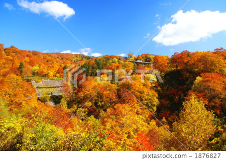 Tamagawa Onsen of autumn leaves 1876827