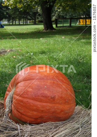 草原的秋天 1876887