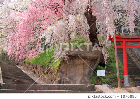 Wushuzan Park Wushuzan Park 1876893