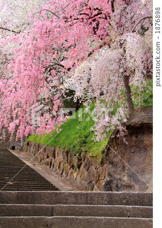 Wushuzan Park 1876898