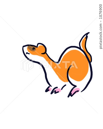 ferret, small animal, animal 1876900