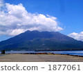 Jinjiang Bay and Sakurajima 1877061
