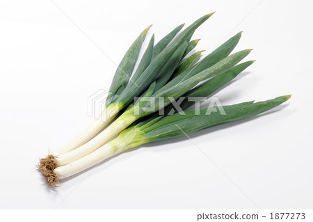 Shimonita Onegi Shimonita Onegi 1877273