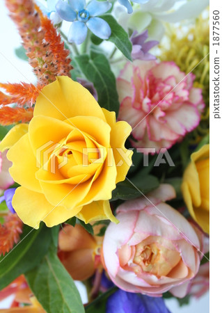 花束 1877560