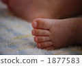 嬰兒 寶寶 寶貝 1877583