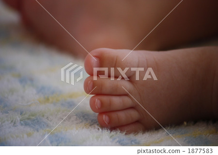 baby, infant, feet 1877583