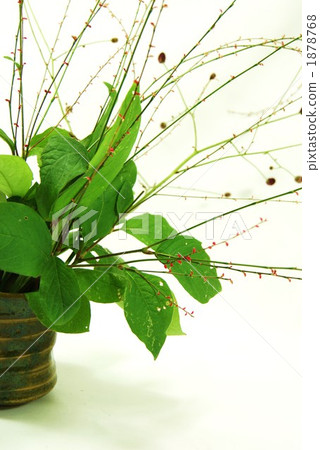 地榆 日式信封裝飾 裝飾繩 1878768