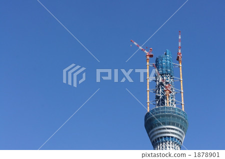 天空樹生長（478米） 1878901