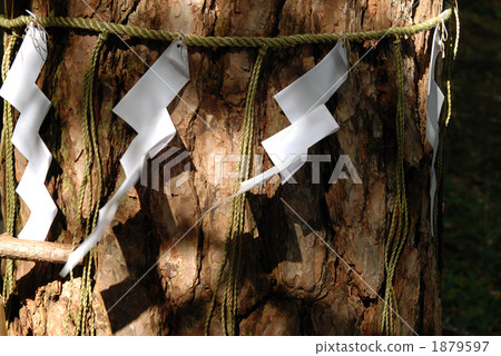 gohei wand, sacred tree, straw festoon 1879597