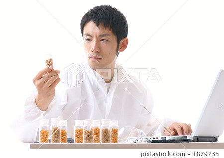 研發形象（種子/玉米和大豆） 1879733