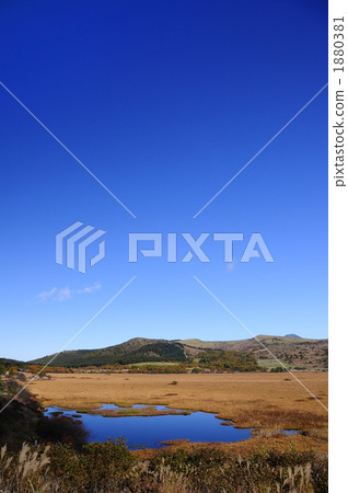 Yaoshima Mogara在秋天 1880381