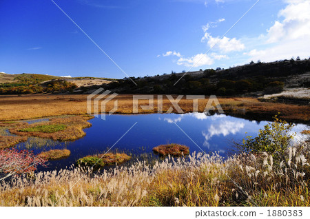 Yaoshima Mogara在秋天 1880383